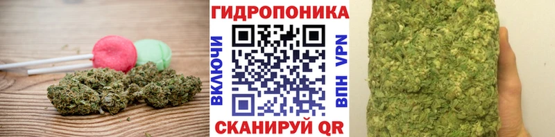 Cannafood конопля  маркетплейс состав  Лахденпохья 