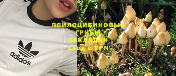 гашик Армянск