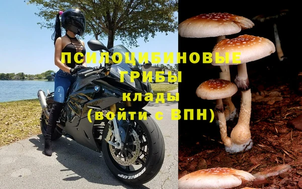 тгк Аркадак