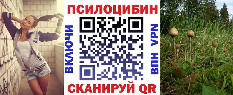 Псилоцибиновые грибы ЛСД  Лахденпохья 